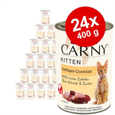 Pachet Animonda Carny pentru pisici, 24 x 400g