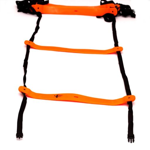 Neo Agility Leiter 4 Meter