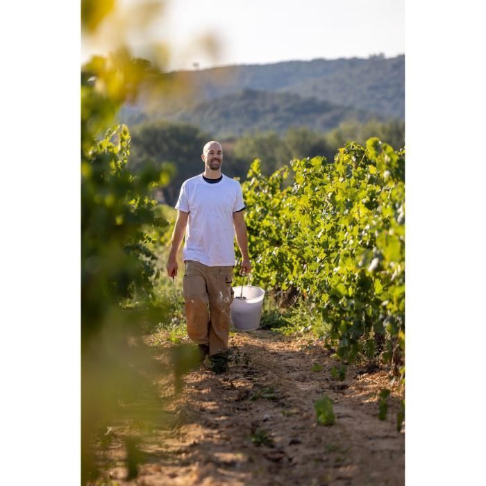 Saint X Rosé 2024 - IGP Méditerranée - Vino rosado de Provenza 75cl