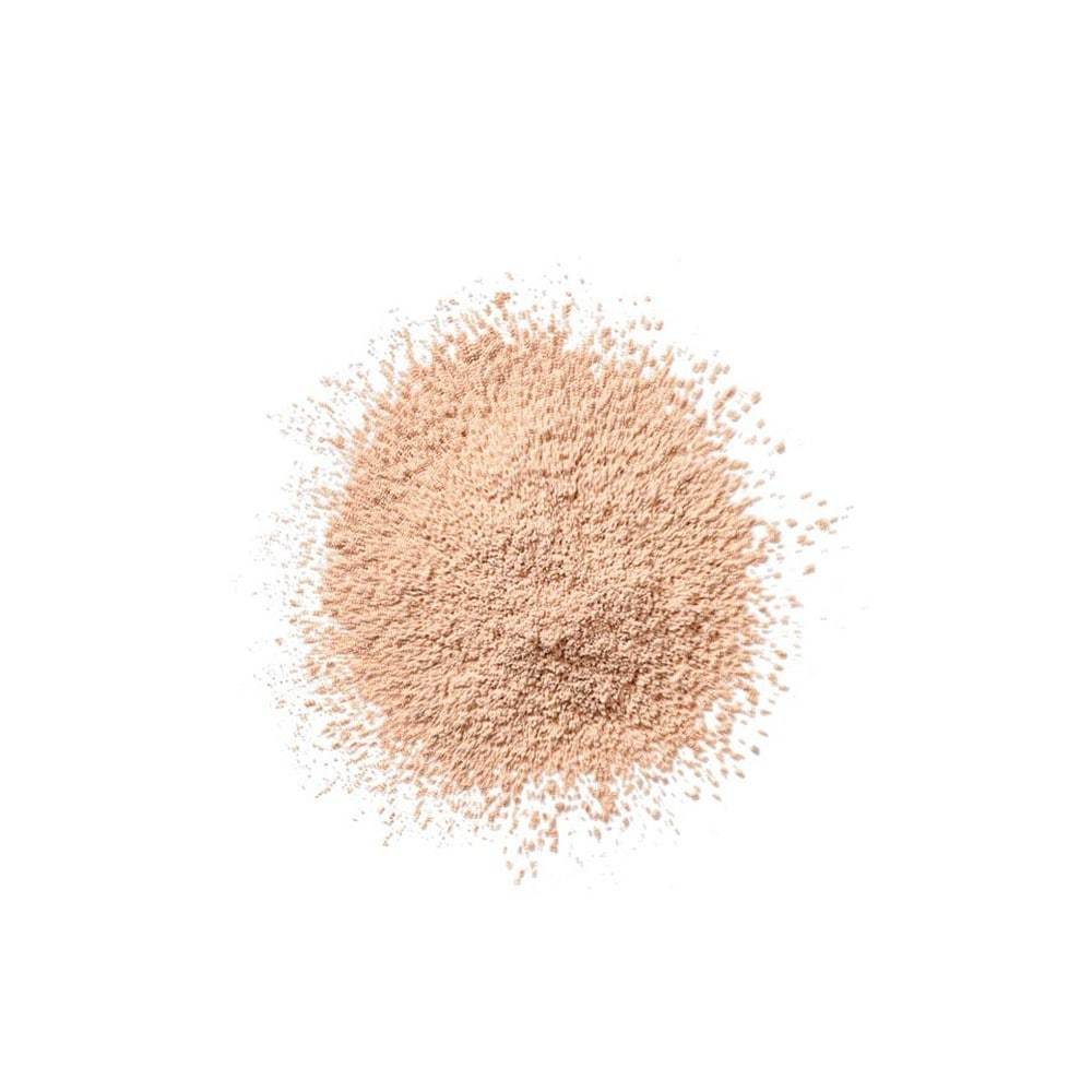 Clinique Powder Blended Face Powder Transparent matirajući puder - 25 g