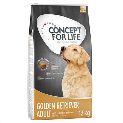 Concept for Life Golden Retriever Ενηλίκων