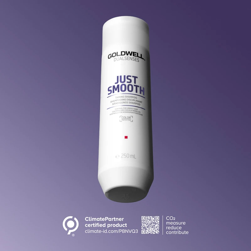 Goldwell Dualsenses Just Smooth izlīdzinošais šampūns grūti veidojamiem matiem