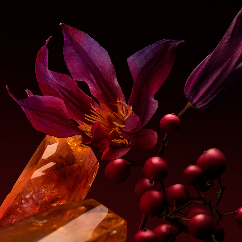 Hugo Boss BOSS The Scent Elixir para ela, perfume intenso para mulheres
