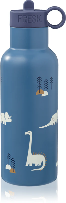 Termo fľaša FRESK Nordic