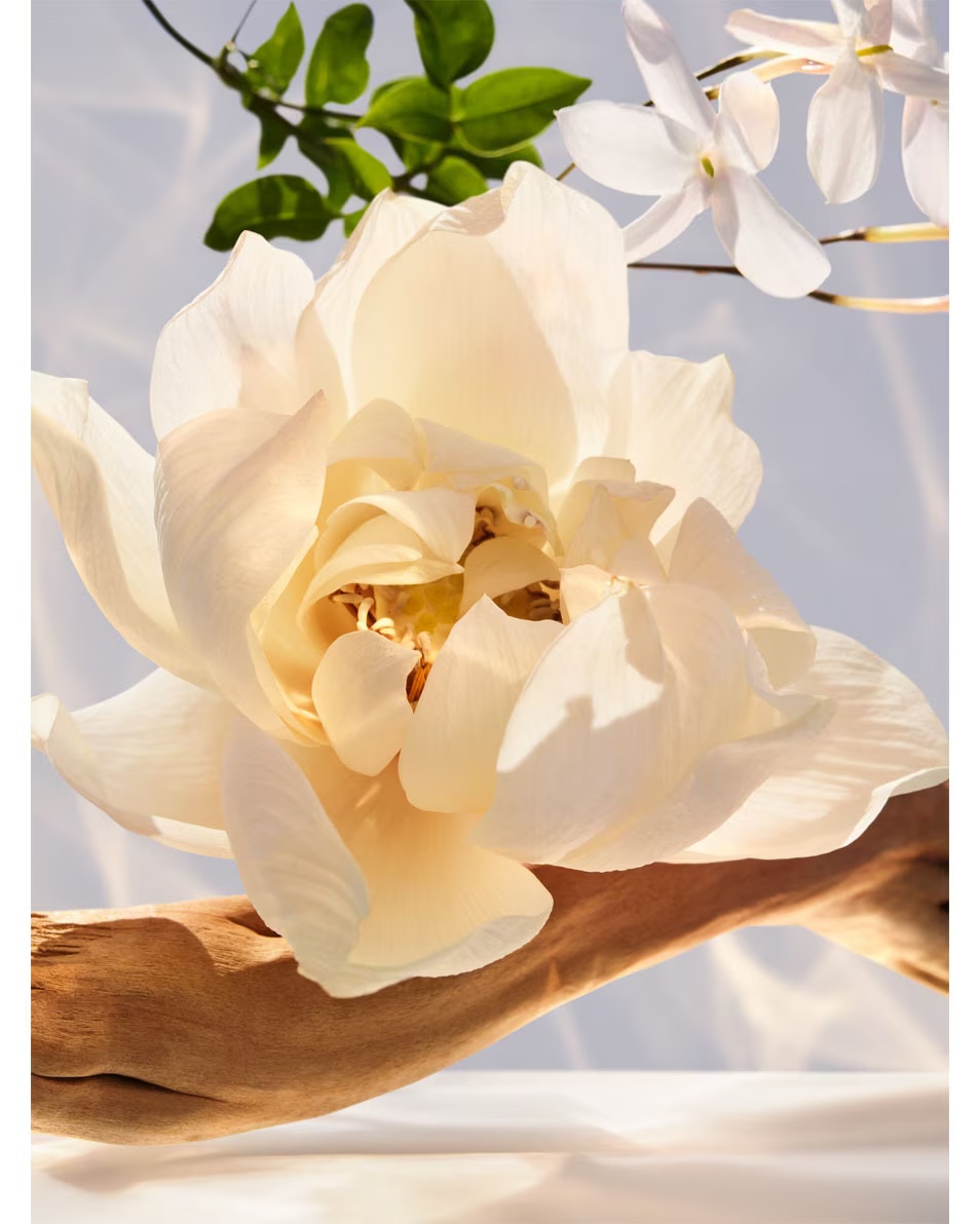 BVLGARI Omnia Crystalline Eau de Parfum