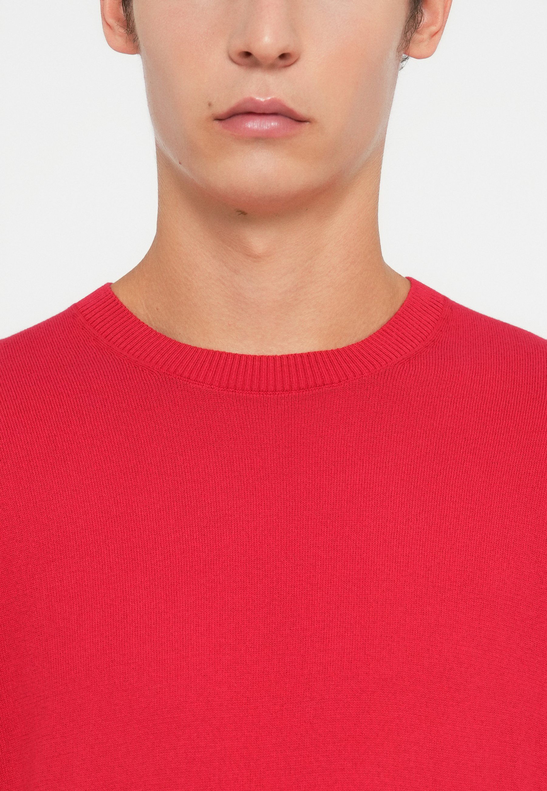 GAP SOLID CORE CREW - Trui - modern rood