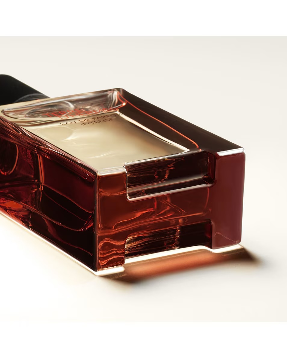HERMÈS Terre d'Hermès Eau de Parfum Intense