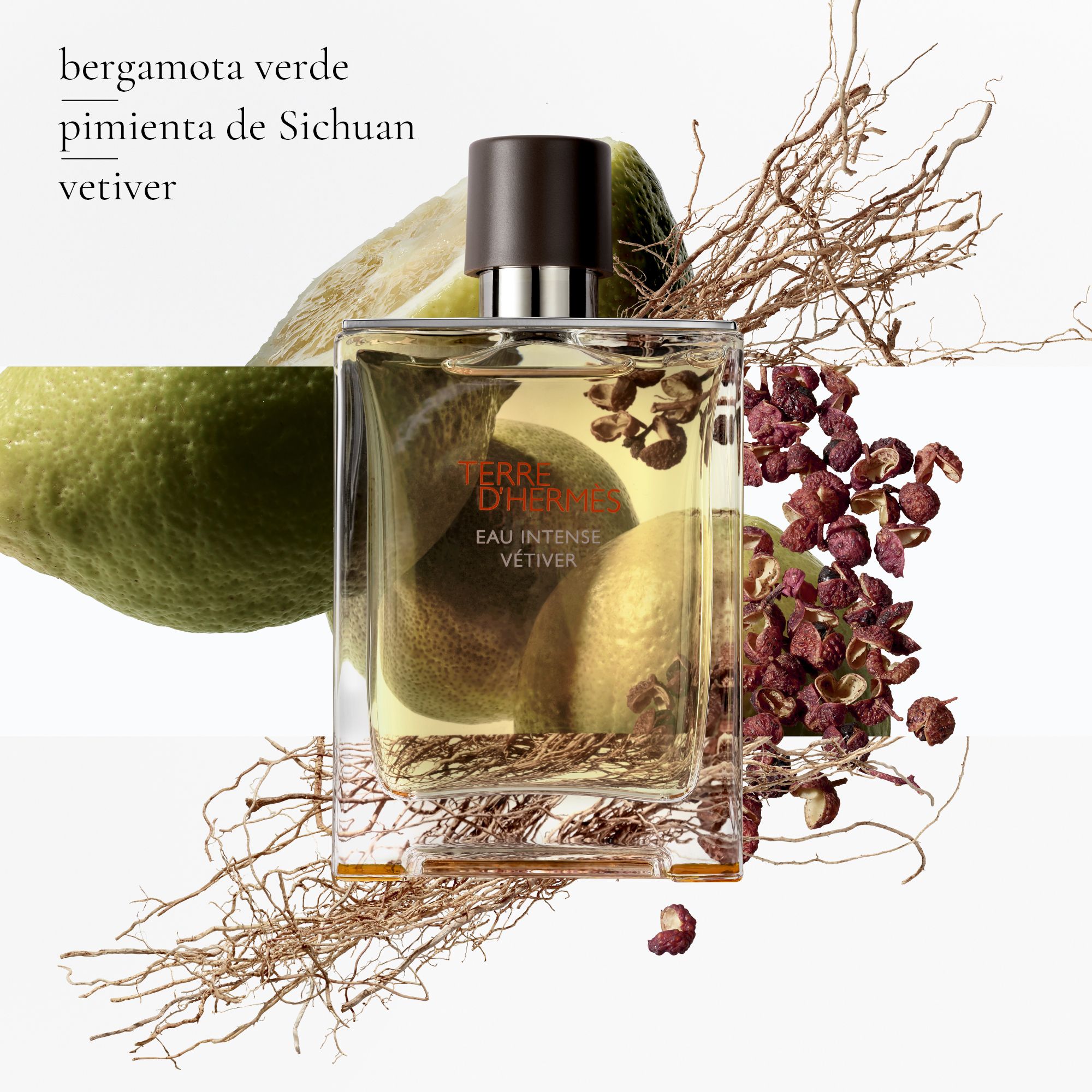 Terre d'Hermès Eau Intense Vétiver Eau de parfum Pánske parfumy
