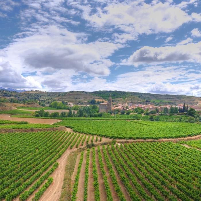 Marques del Villar Joven 2024 Vino rosso spagnolo, Les Passeurs de Vins, set regalo da 6 bottiglie