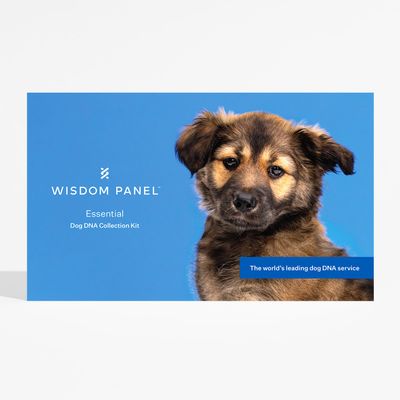 Wisdom Panel™ Essential Hunde-DNA-Test