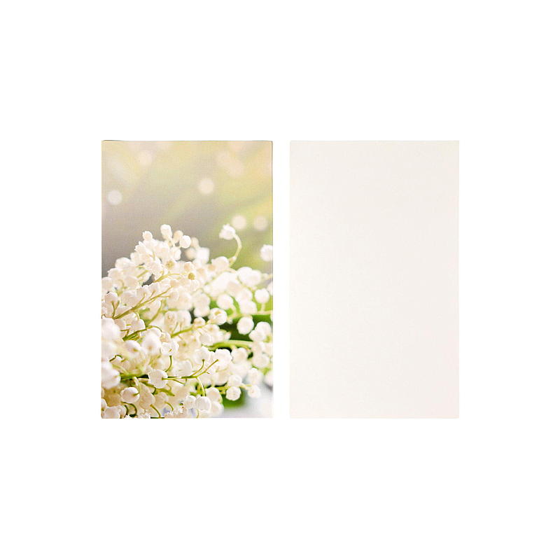 Lot de 10 cartes individuelles avec enveloppe, fleur blanche