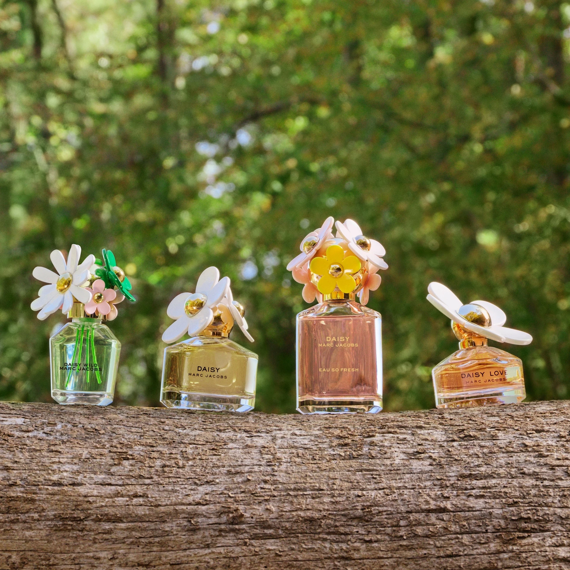 Daisy Wild toaletna voda 50 ml - Marc Jacobs