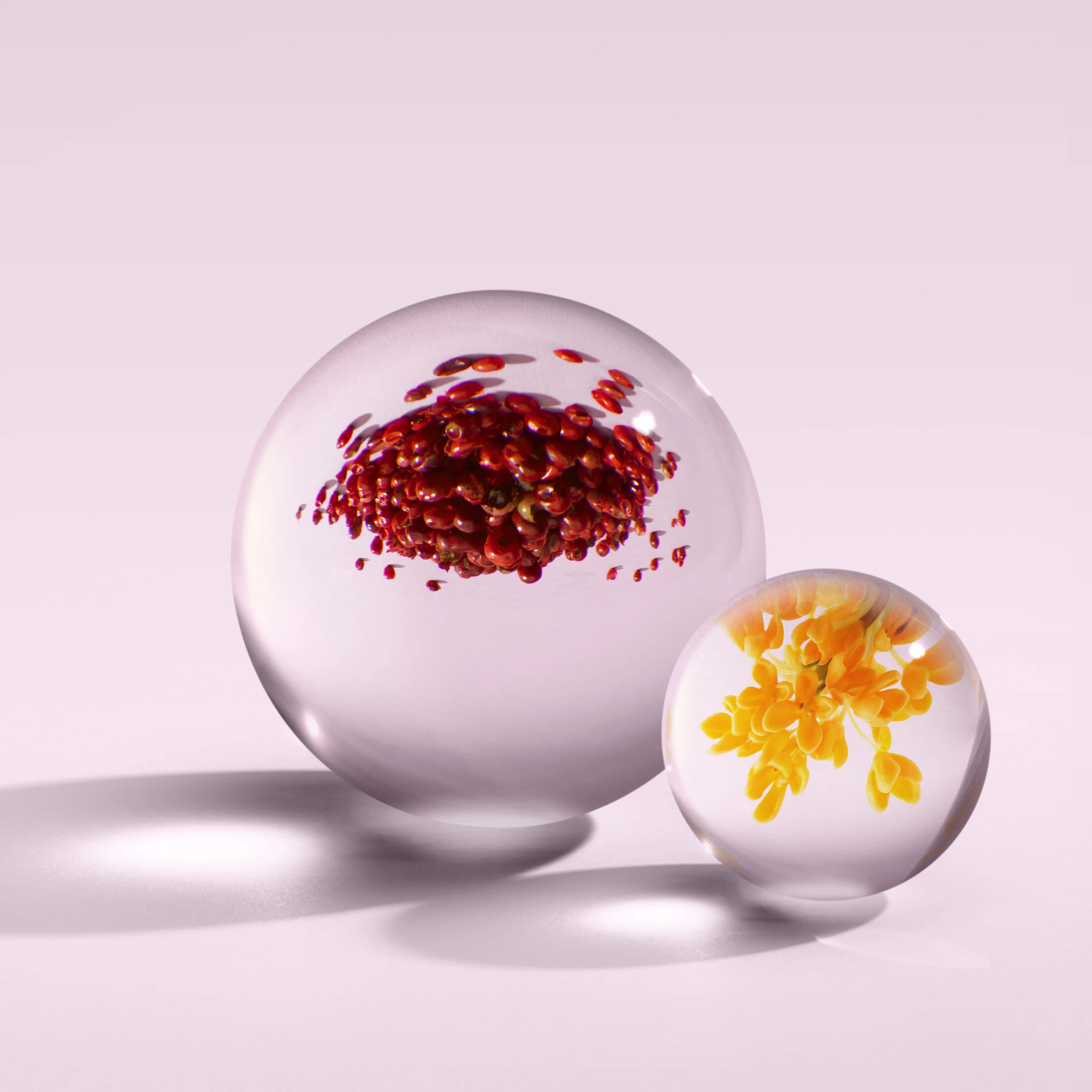 Rezervă pentru carcasă de călătorie Fiery Pink Pepper EdP 7,5 ml - Molton Brown
