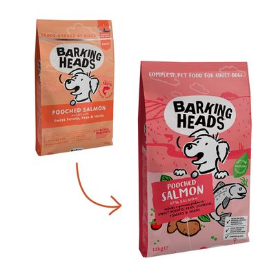Barking Heads Pooched Salmon