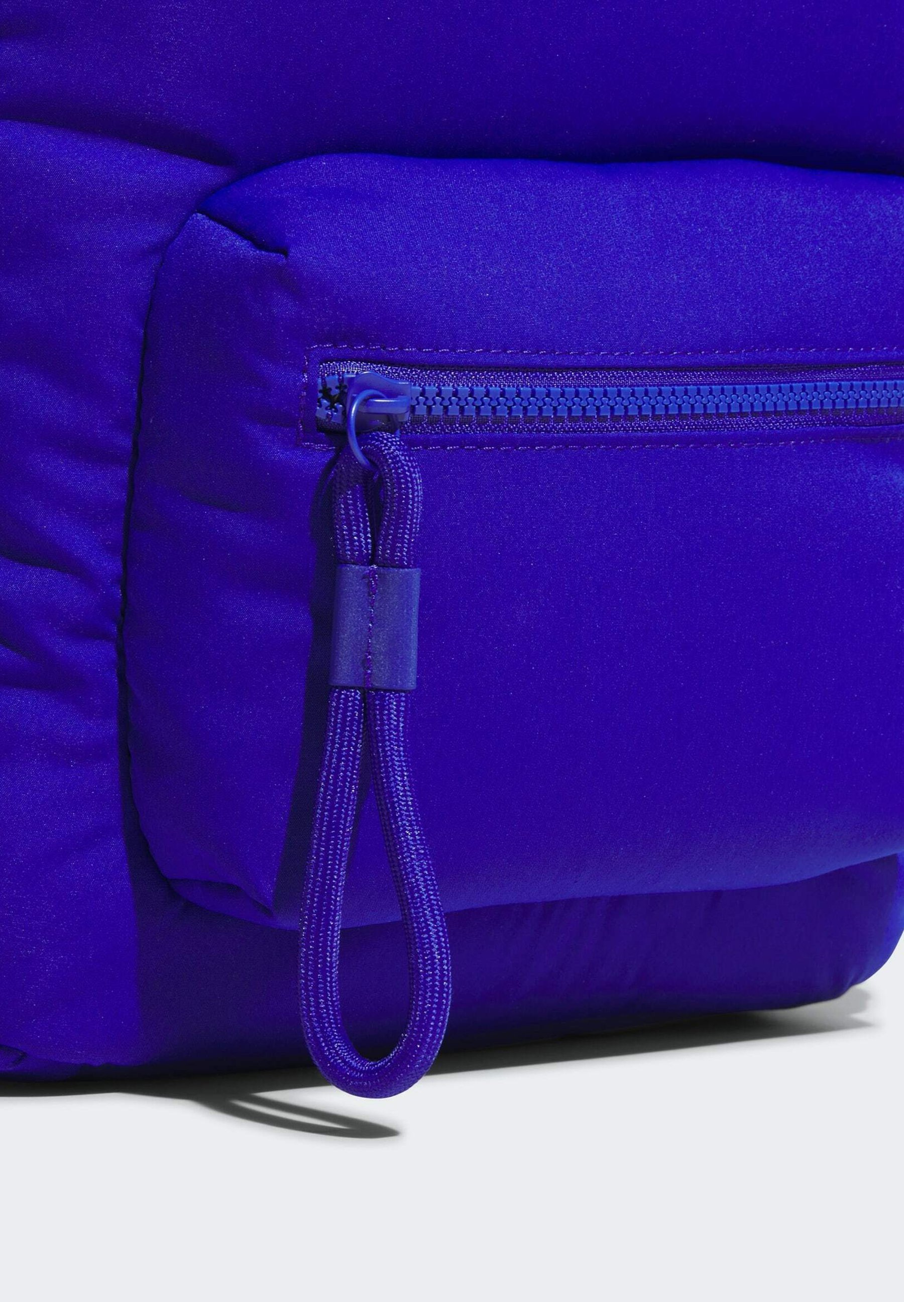 adidas Sportswear MUST HAVES PUFFY - Rugzak - helderblauw