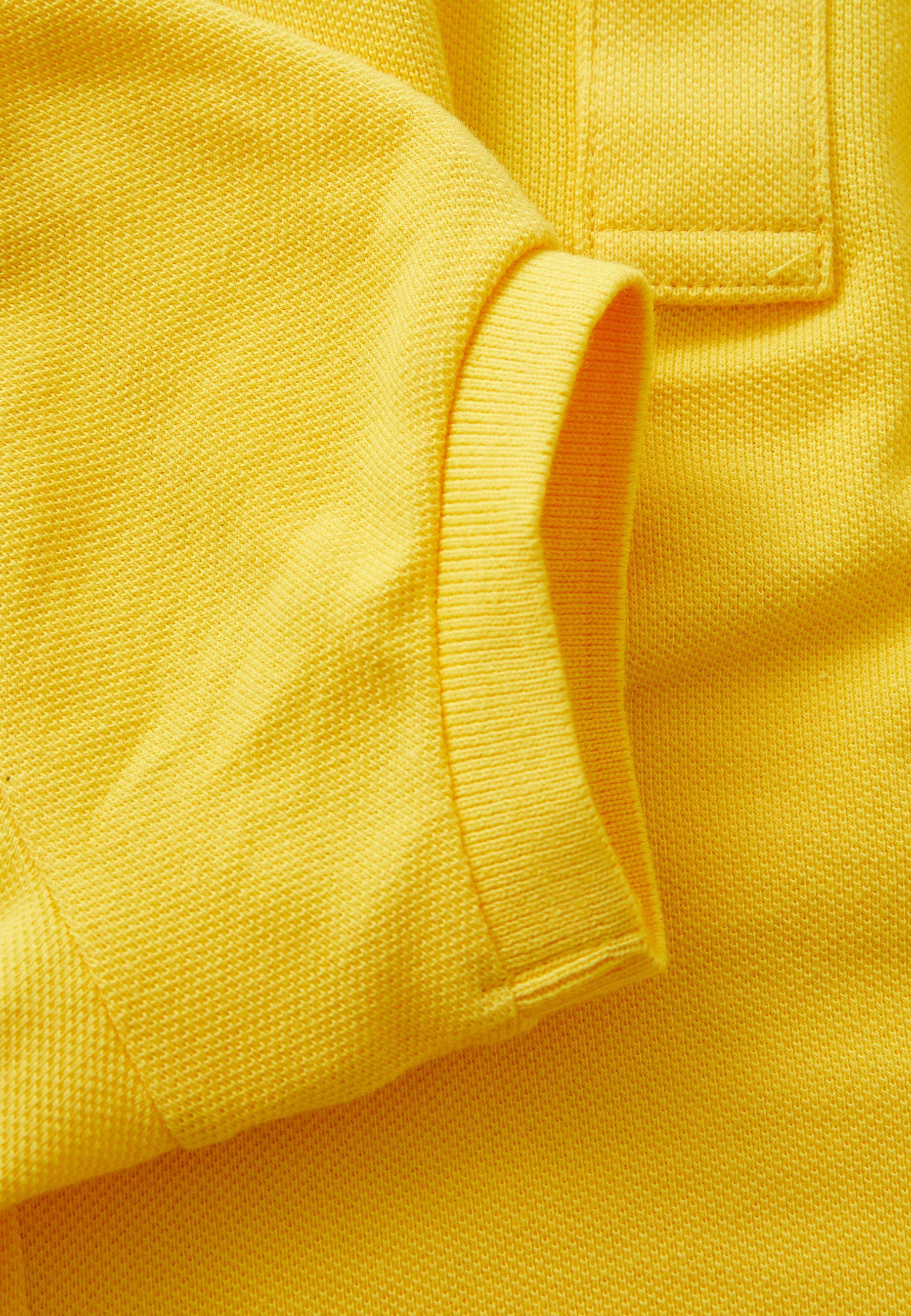 Polo Ralph Lauren huisdier