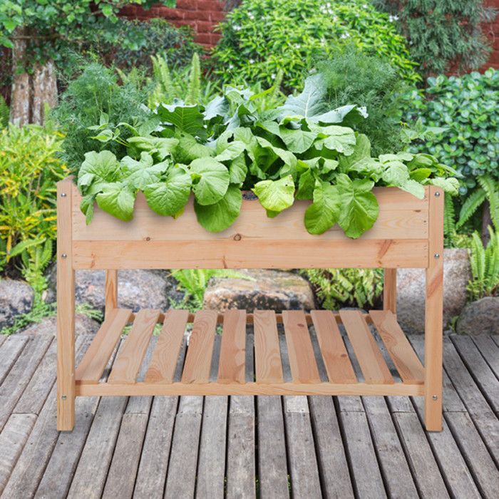 Carré potager XXL - ESSCHERT DESIGN - Bois naturel - 119x79cm - Espace de stockage intégré - Utilisable en bio