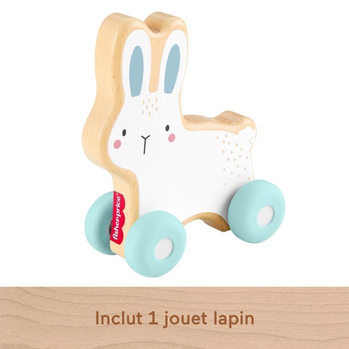 Fisher-Price puinen työntöjänis - ryömimislelu - 1 kpl - 6 kuukauden ikäisille+ - JDM52
