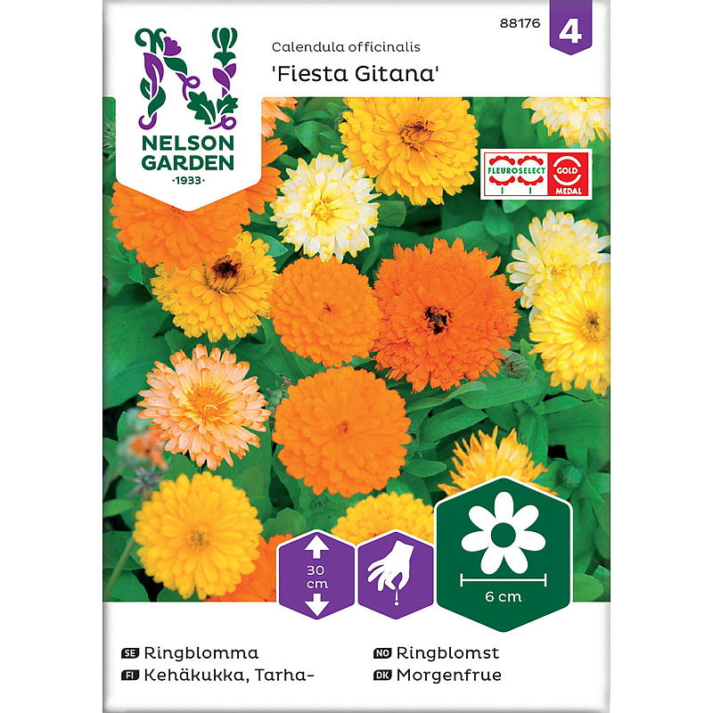 Nelson-puutarhan siemenet Marigold Fiesta Gitana