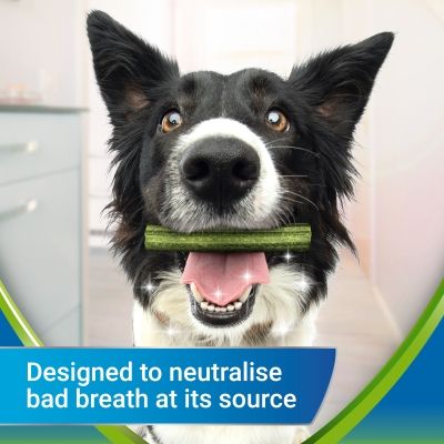 Purina Dentalife ActivFresh Tägliche Zahnpflege-Snacks für kleine Hunderassen