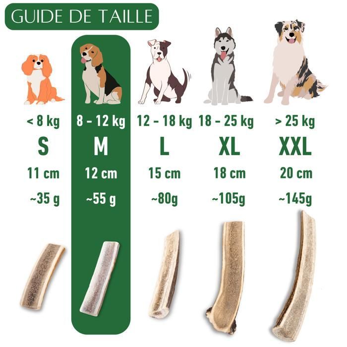 Hirschgeweih zum Kauen für Hunde, in Scheiben geschnitten, Größe M, Leckerli für Welpen und Hunde jeden Alters, Kauspielzeug, 1 Stück