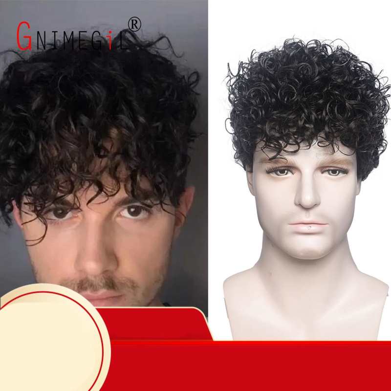 Curly Wig Men Guy Short Natural Black Layered Synthetic Fiber Halloween Costume Hair Replacement Cosplay Wigs Cool