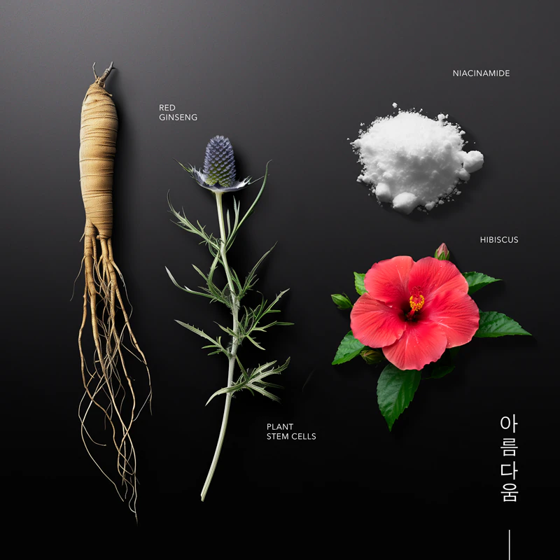 KORIKA Koreaanse erfgoed ginseng & mariene stamcellen anti-aging zonnebrandcrème SPF 50