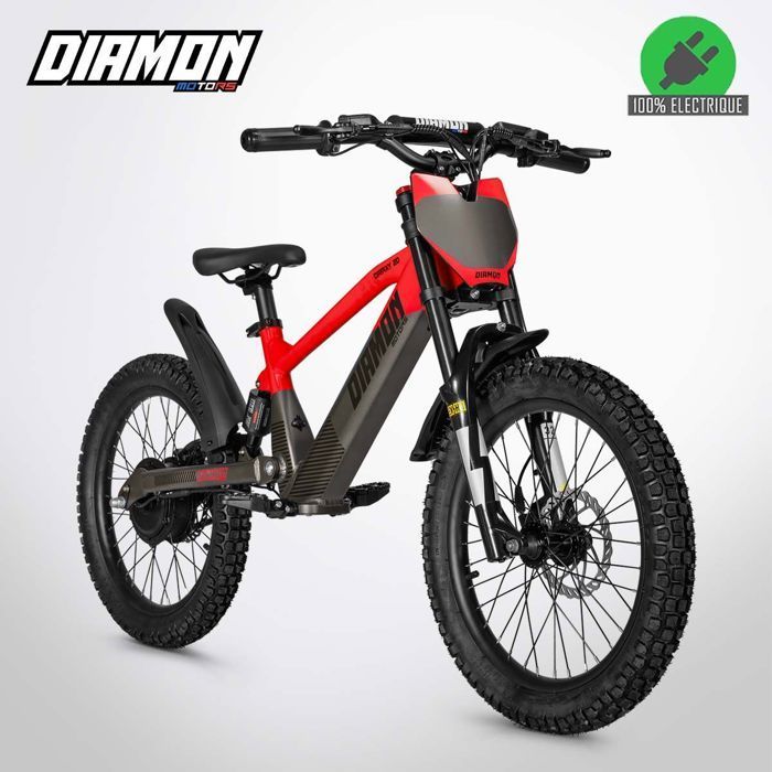 Bicicleta eléctrica de equilibrio DRAXY de 600 W y 20 pulgadas, color rojo, para niños, de DIAMON MOTORS – Batería de 36 V y 7,8 Ah – 3 velocidades