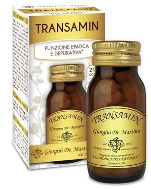 DR. GIORGINI Transamin 100 tablečių