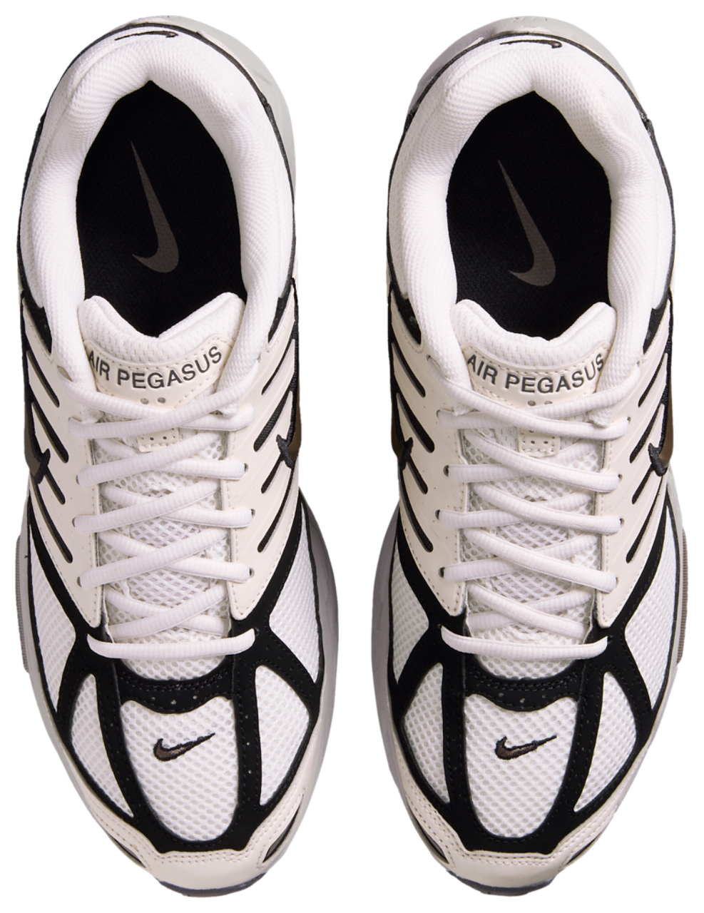 Nike Pegasus 2005