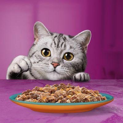 Whiskas 1+ Duo Surf & Turf in Jelly