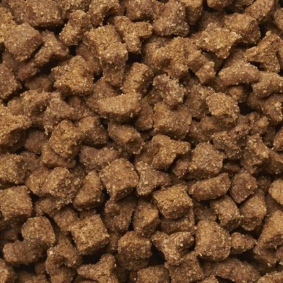 IAMS Proactive Health Multi-Cat tørfoder til katte med laks og kylling