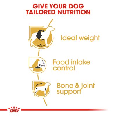 Royal Canin Beagle Ενήλικα