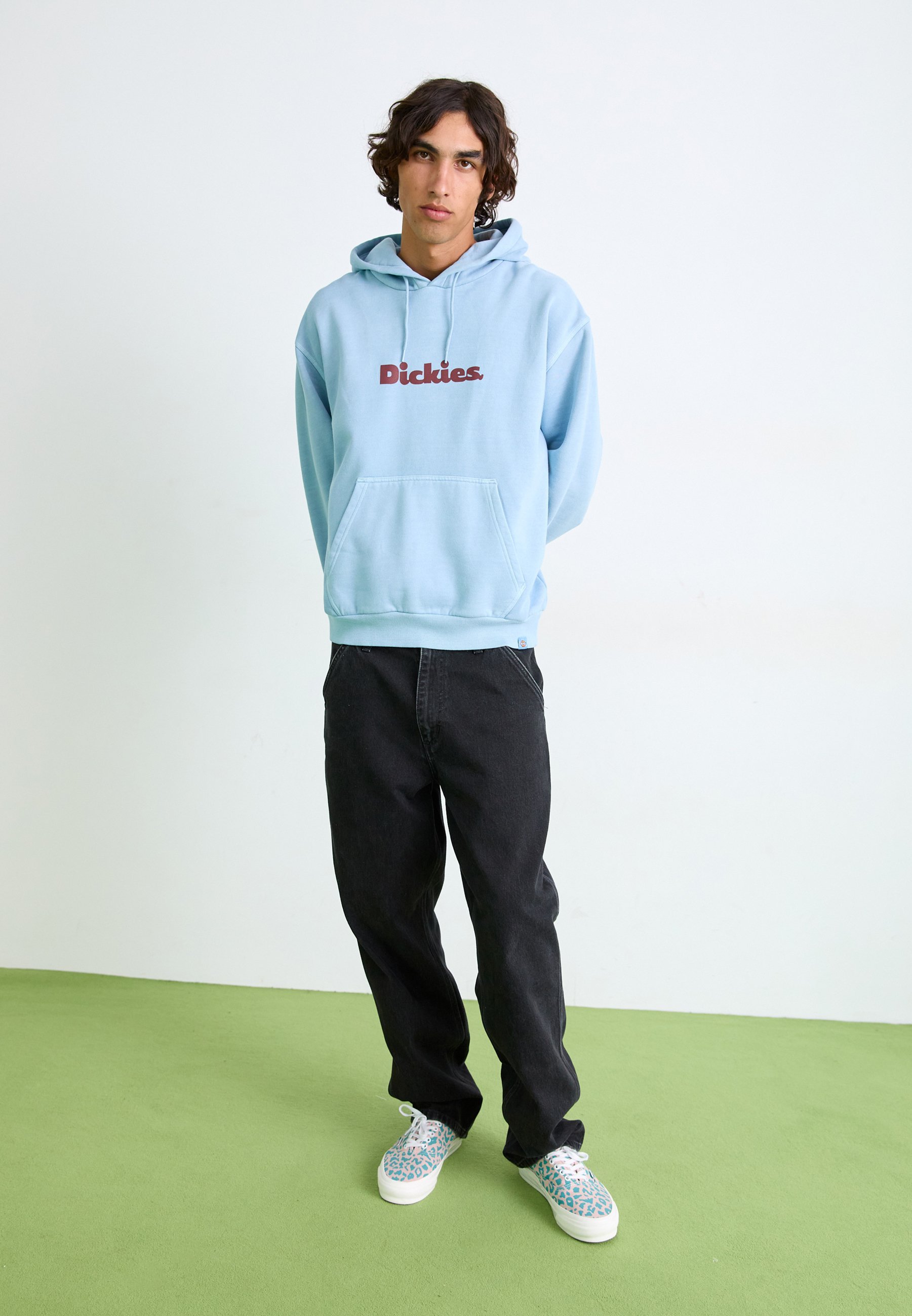 Felpa con cappuccio Dickies SLAYDEN - Glacier Lake