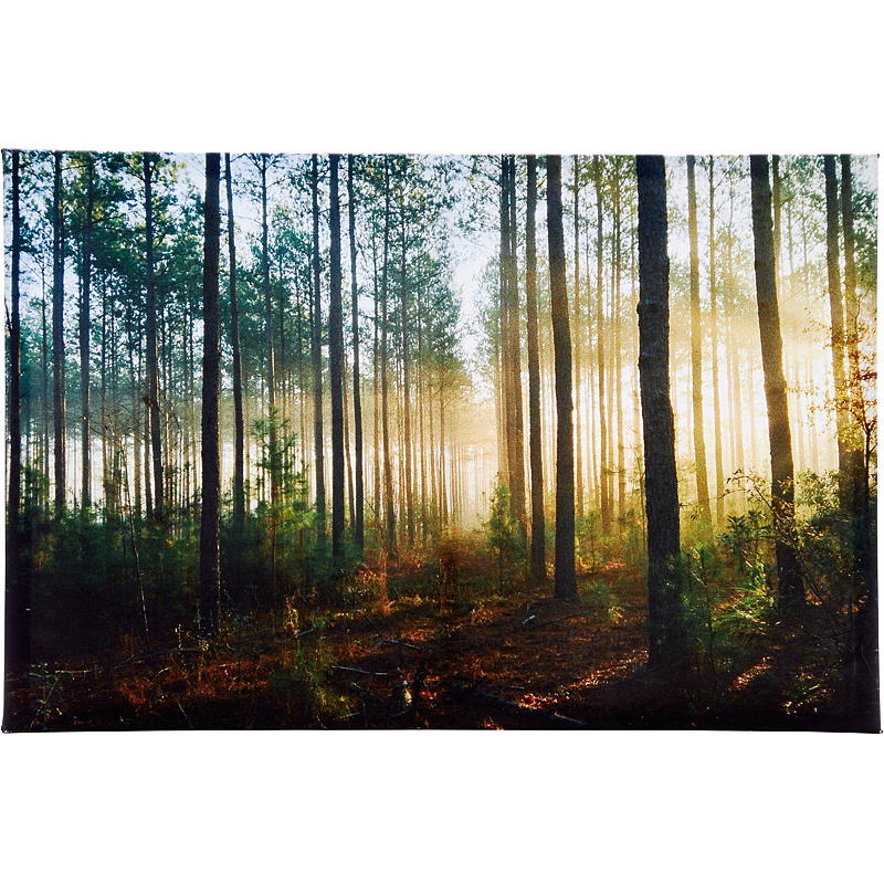 Lerretsbilde 40x60 cm