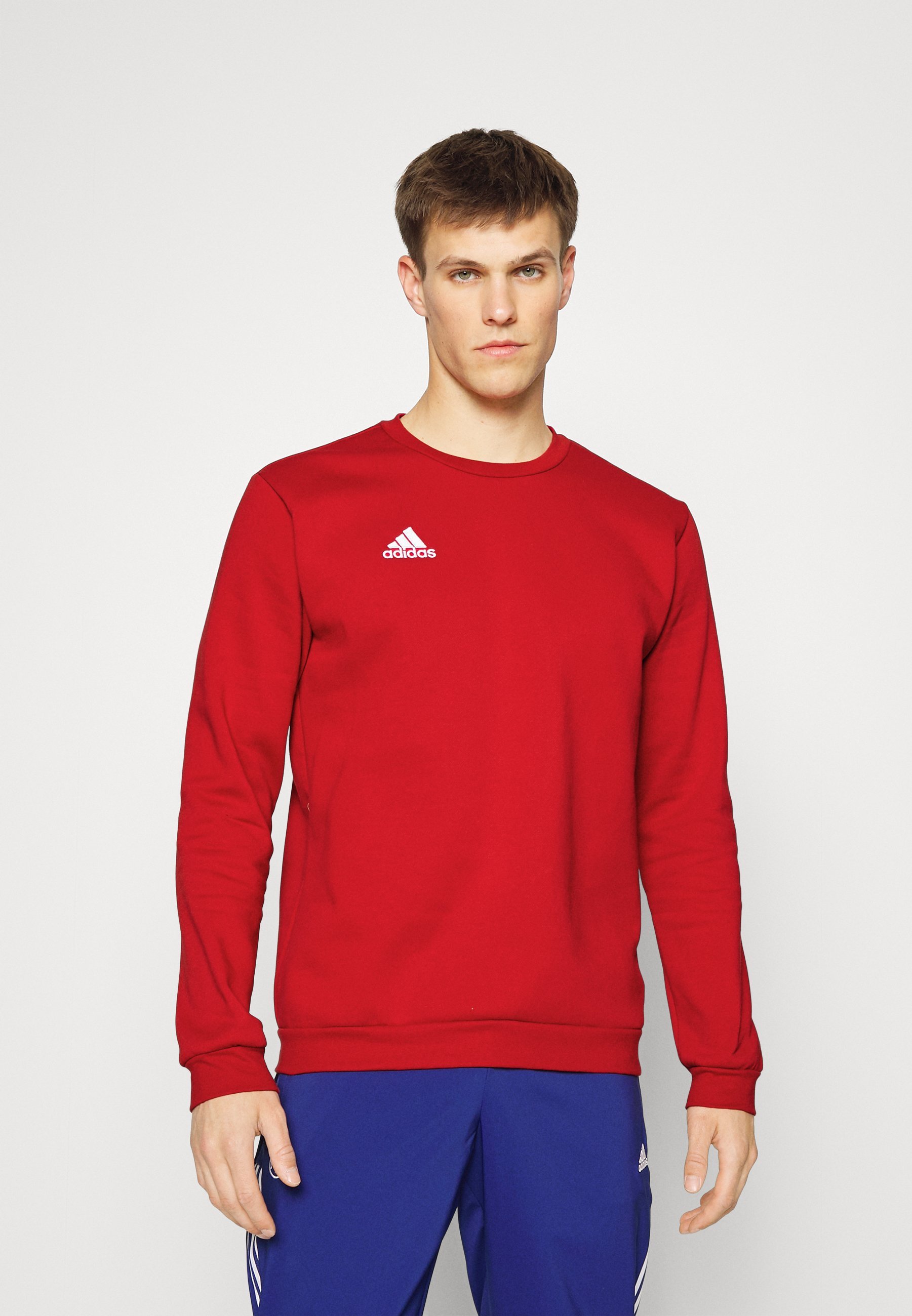 adidas Performance ENTRADA - Sweat-shirt - Tepore