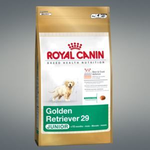 Ração para filhotes de Golden Retriever - ROYAL CANIN - 3kg - Alimento completo para cães jovens