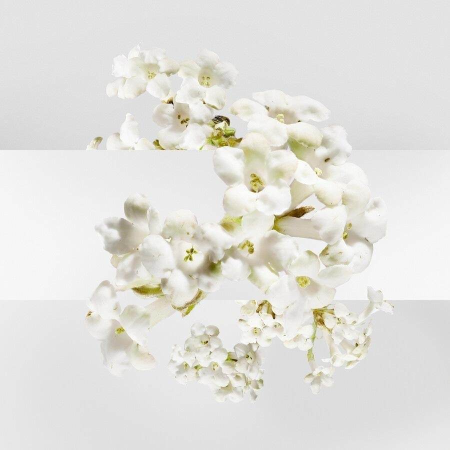 HERMÈS tualetinio vandens kolekcija Parfum Jardin Un Jardin Sur La Lagune tualetinis vanduo – 30 ml
