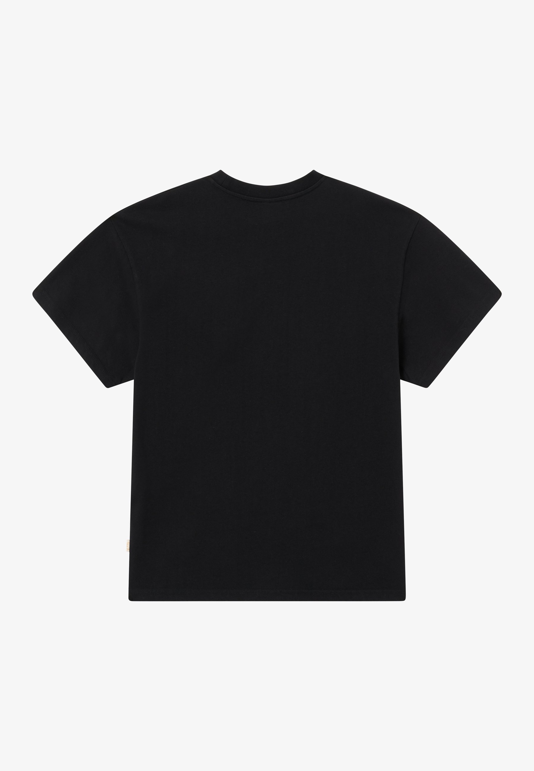 BLKVIS T-särgid