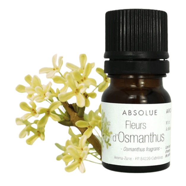 Absoluto de flor de osmanto