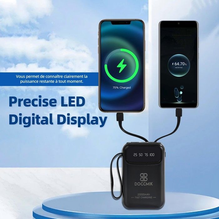 DOCCMIK Batterie Externe 20000mAh Power Bank avec 4 Câbles Intégrés Batterie Portable et LED Lampe Noir
