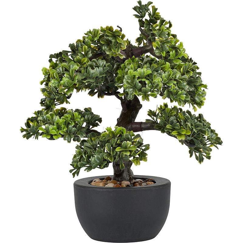 Hem Bonsaiträd 30 cm