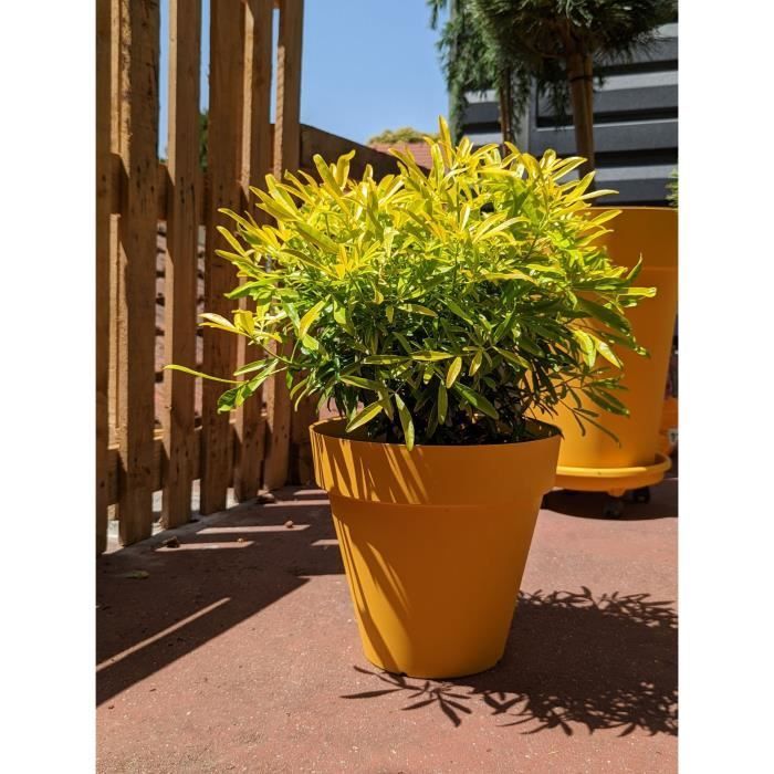 Vaso da fiori rotondo RIVIERA - SOLEILLA - Plastica - D59 x H54 cm - Giallo