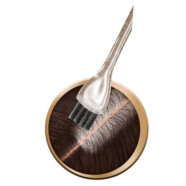 Schwarzkopf Vital R4 temno rjava barva za lase - komplet za popravilo korenin