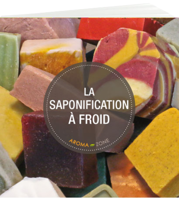 Livre Cosmétique à faire Soi-même La Saponification à froid