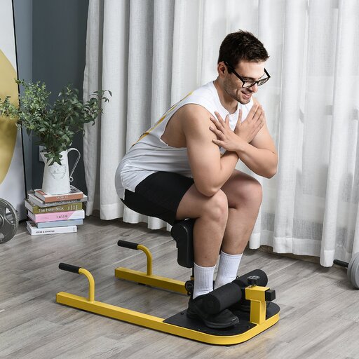 Profundo Sissy Squat Homcom A91-069yl