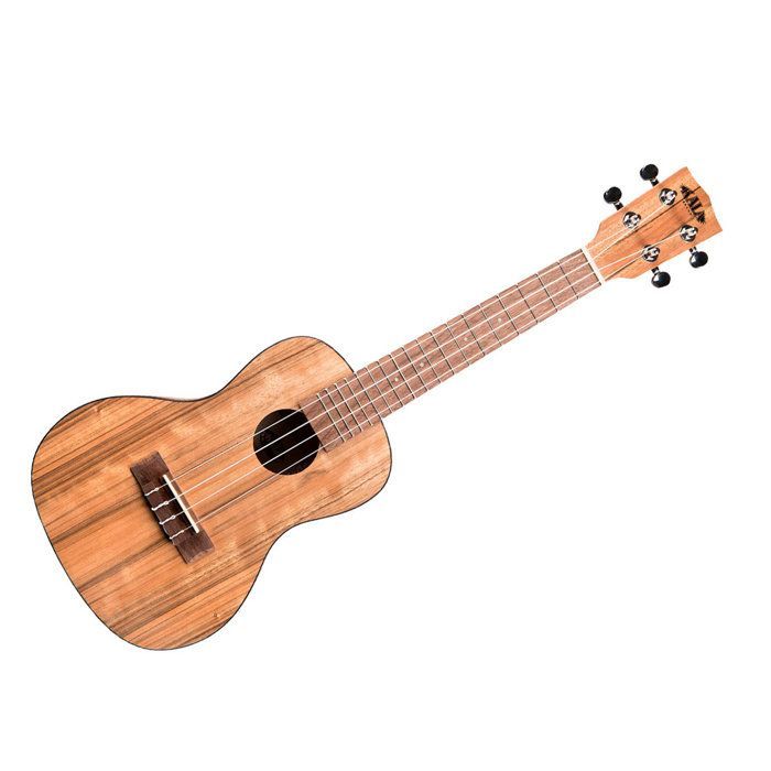 Ukelele de concierto Kala Pacific Walnut