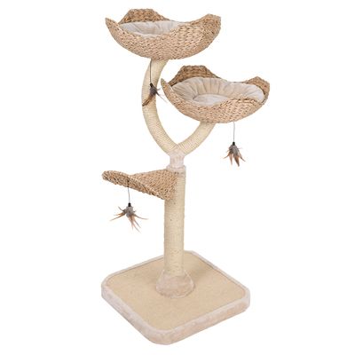 Arbre à chat fleuri
