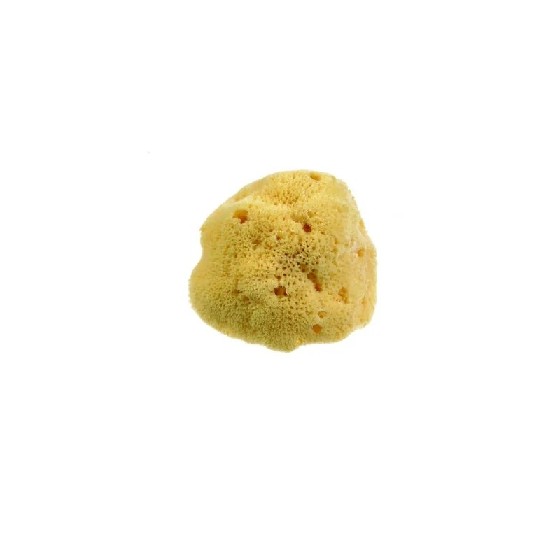 Beautytime Beautytime Esponja Natural Lady M