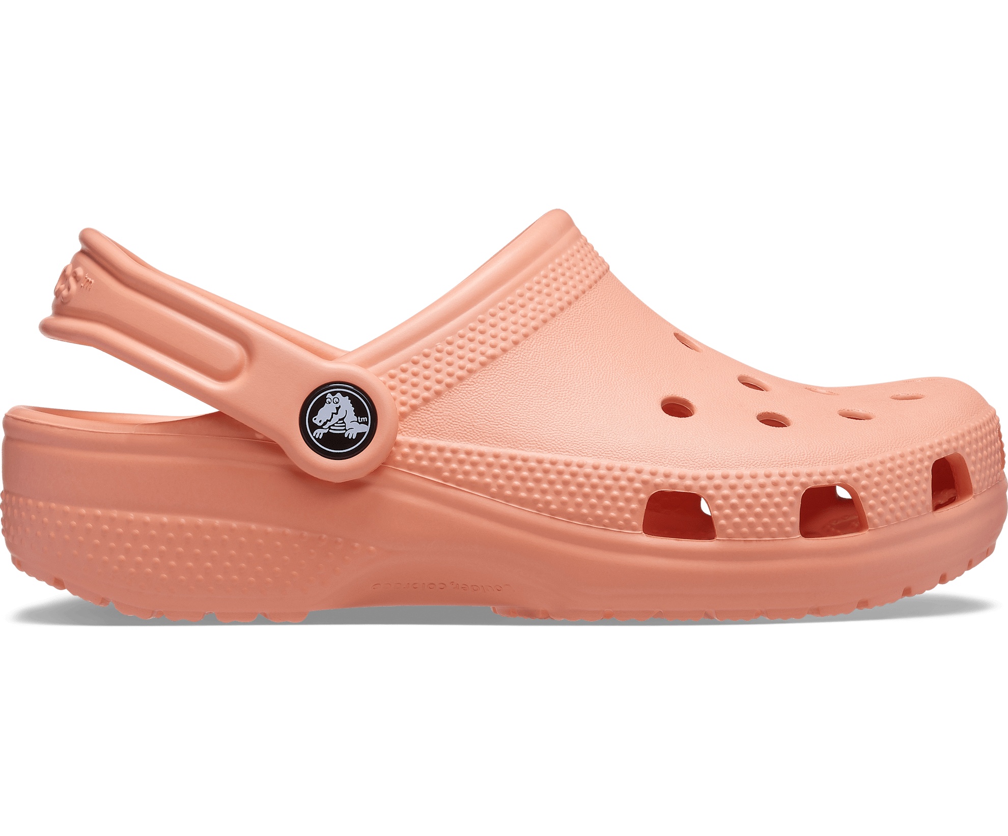 Toddler Classic Clog